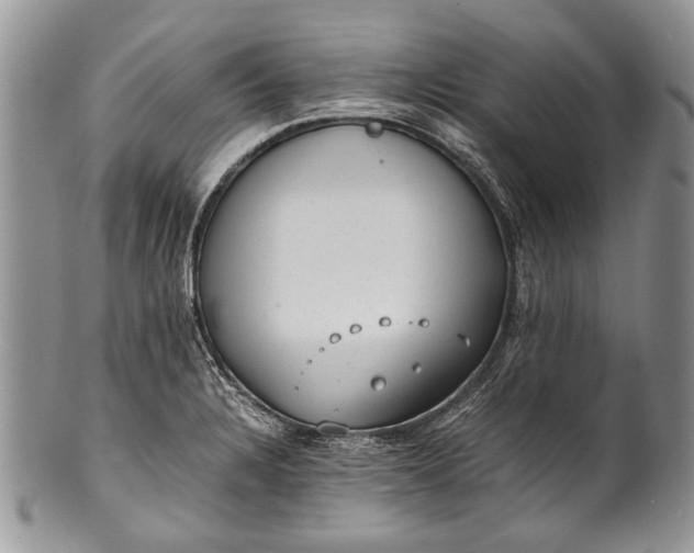 X0000100351328200806201531