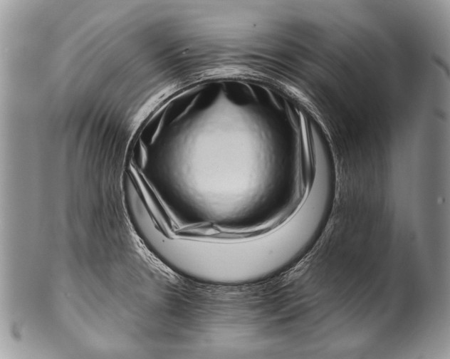 X0000100351330200806201531