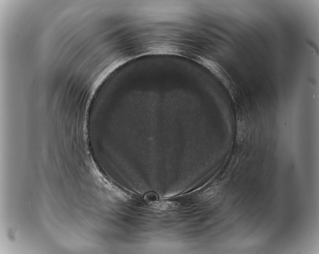 X0000100351331200806201531