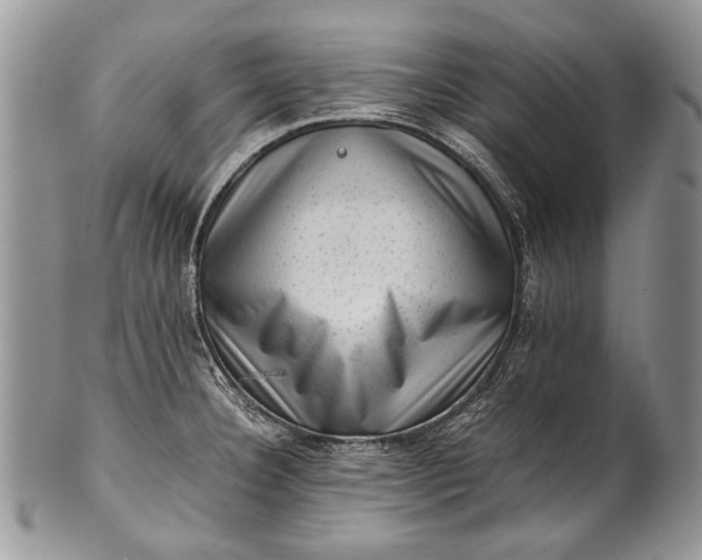X0000100351332200806201531