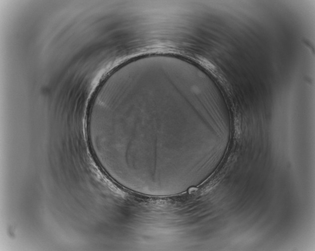 X0000100351334200806201532