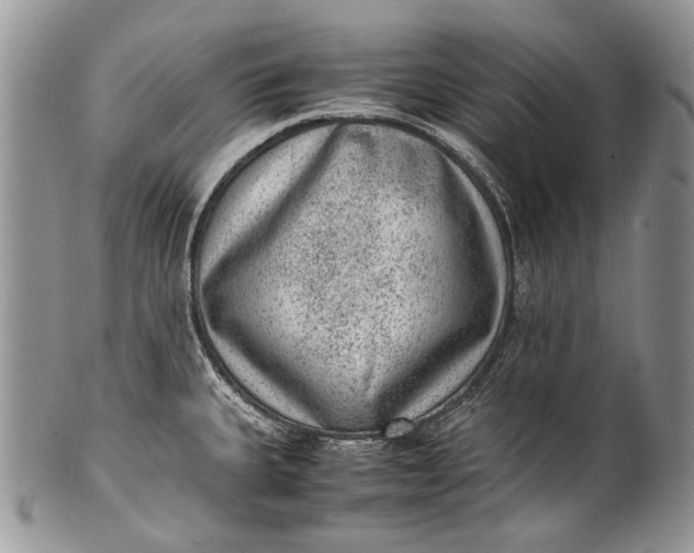 X0000100351335200806201532