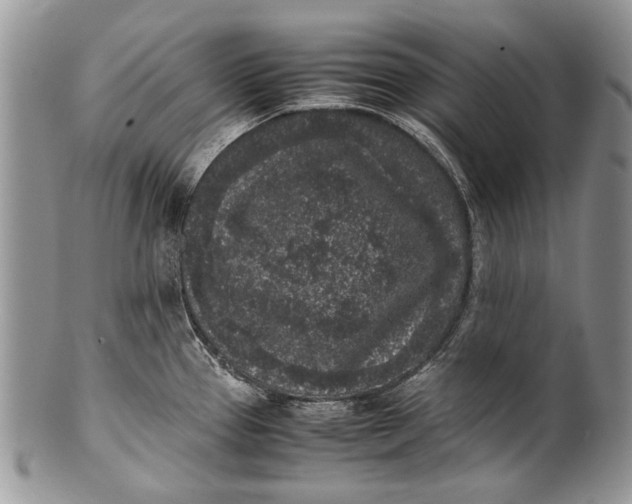 X0000100351337200806201532
