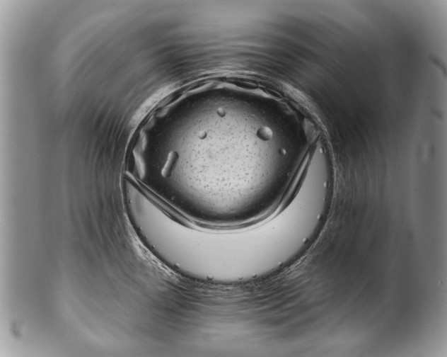 X0000100351338200806201532