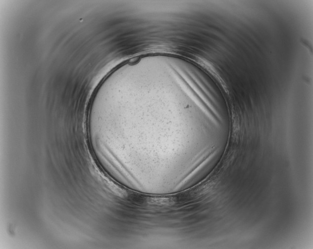 X0000100351339200806201532