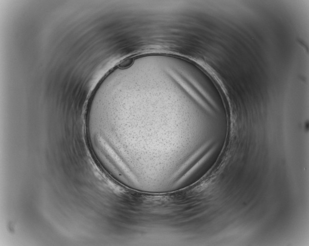 X0000100351341200806201532