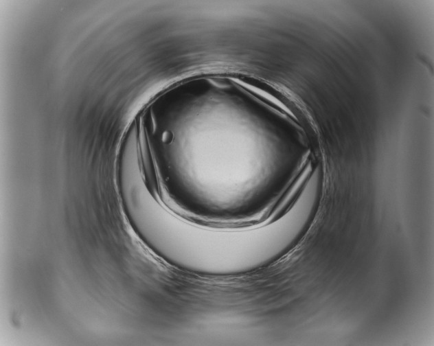 X0000100351342200806201532