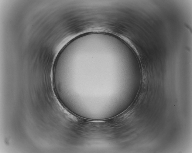X0000100351343200806201532