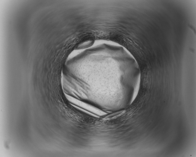X0000100351345200806201531
