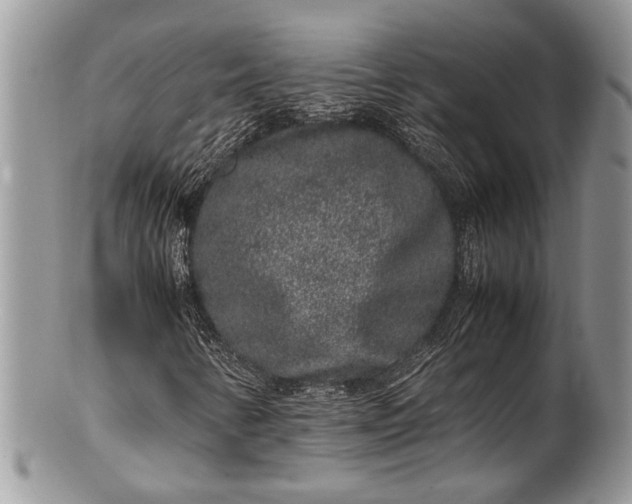 X0000100351346200806201531