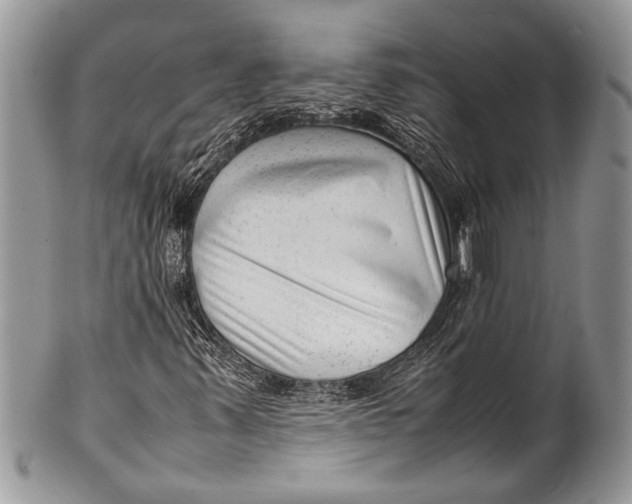 X0000100351347200806201531
