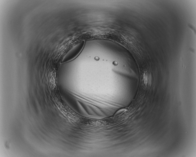 X0000100351348200806201531