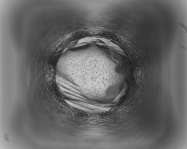 X0000100351349200806201531