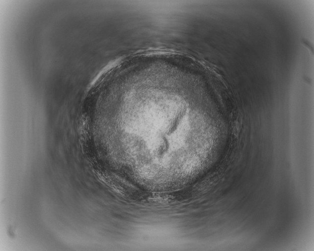 X0000100351351200806201531
