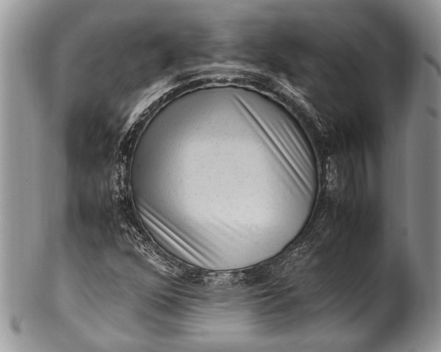 X0000100351352200806201531
