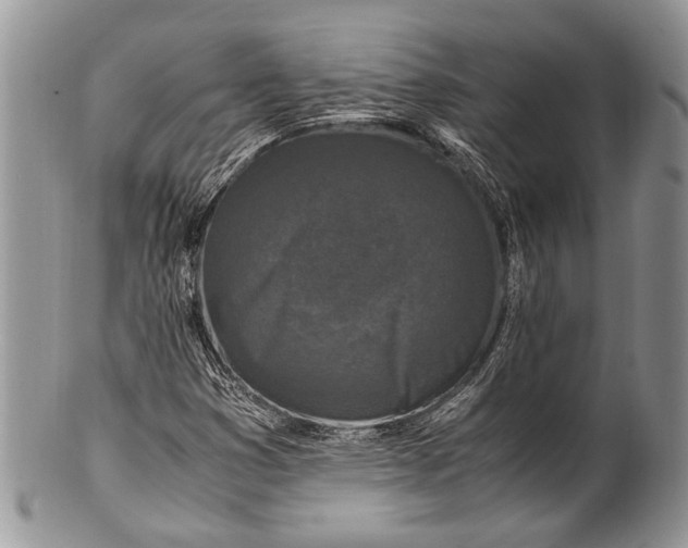 X0000100351353200806201531