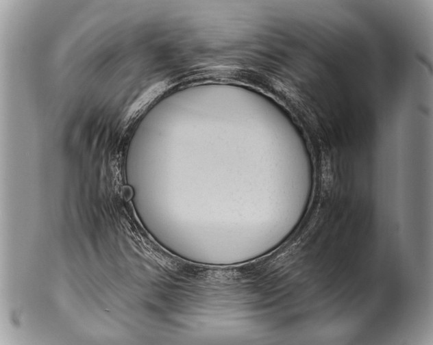 X0000100351354200806201531