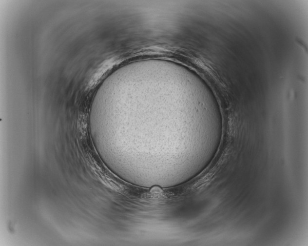 X0000100351355200806201531