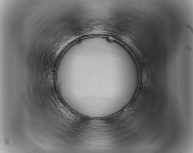 X0000100351356200806201531