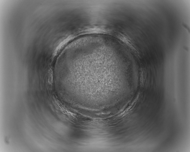 X0000100351358200806201531
