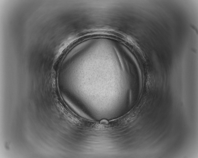X0000100351360200806201531