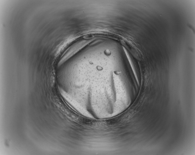X0000100351363200806201530