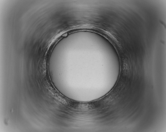 X0000100351364200806201530