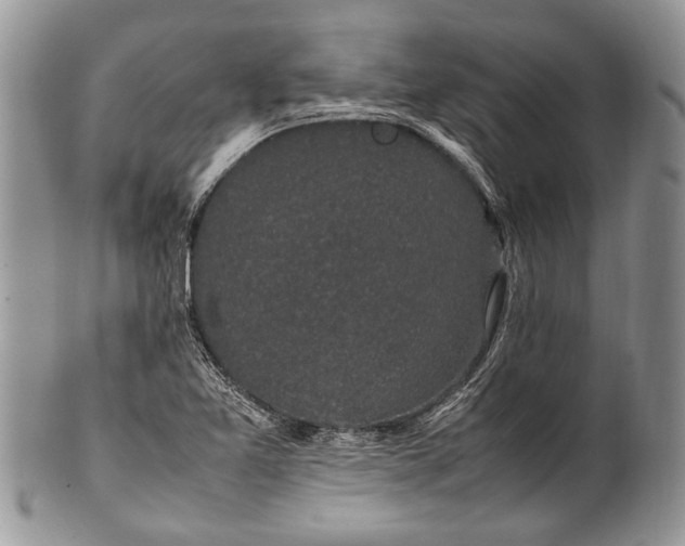 X0000100351365200806201530