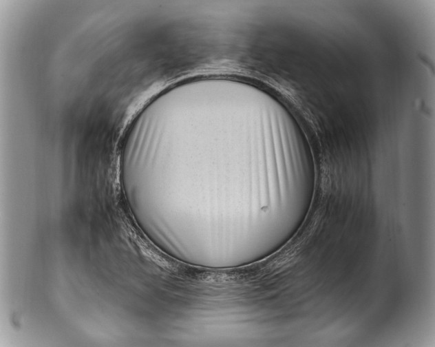 X0000100351366200806201530