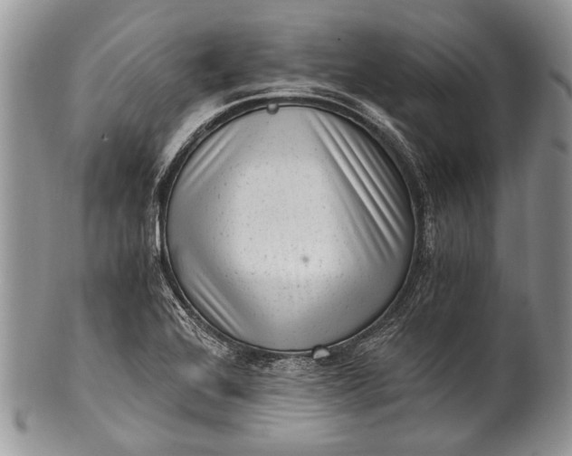 X0000100351368200806201530