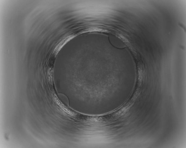 X0000100351369200806201530