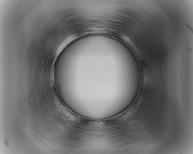 X0000100351370200806201530