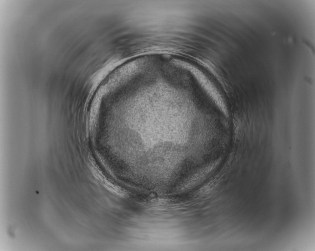 X0000100351371200806201530