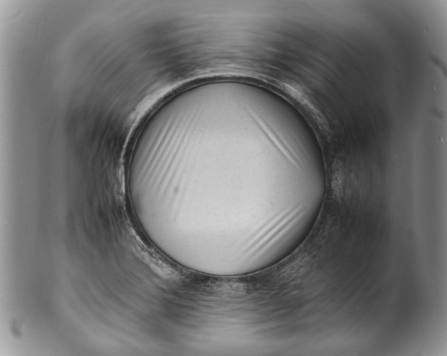 X0000100351372200806201530