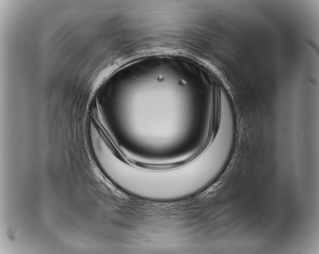 X0000100351373200806201530