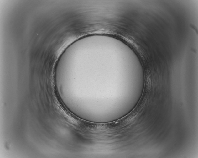 X0000100351375200806201530