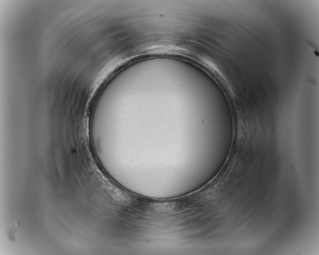 X0000100351376200806201530
