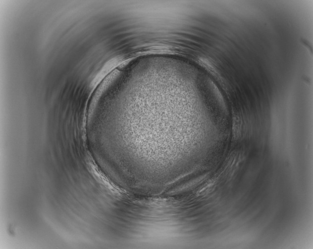 X0000100351378200806201530