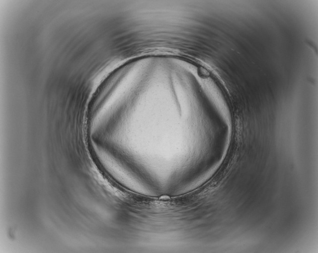 X0000100351379200806201530