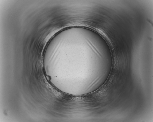 X0000100351380200806201530