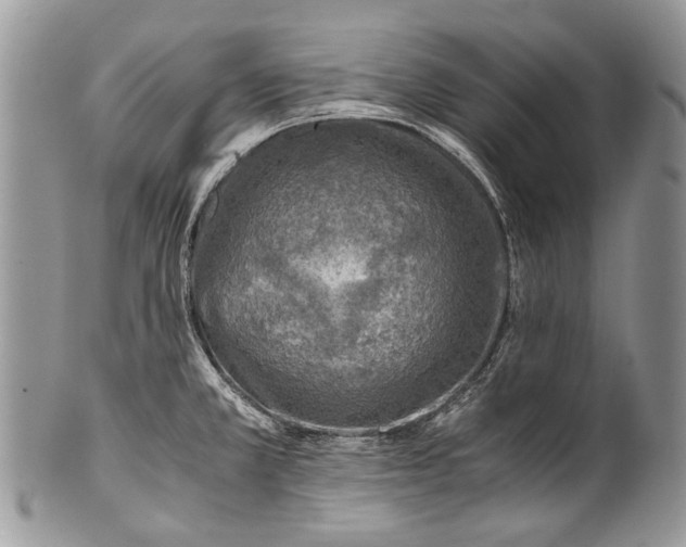 X0000100351381200806201530