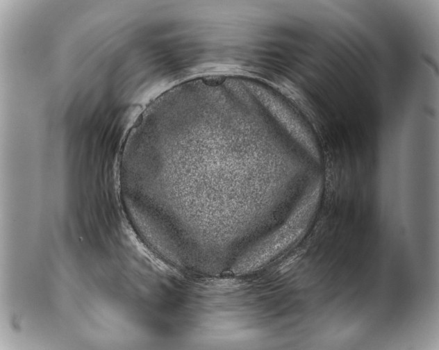 X0000100351382200806201530