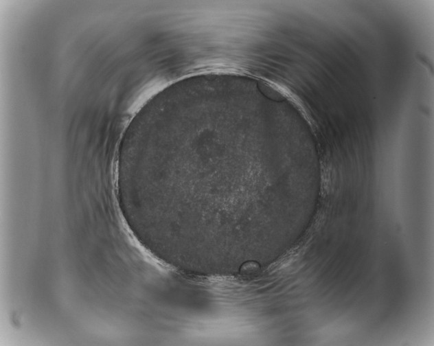 X0000100351383200806201530