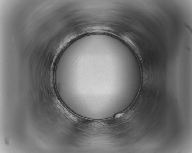 X0000100351384200806201530