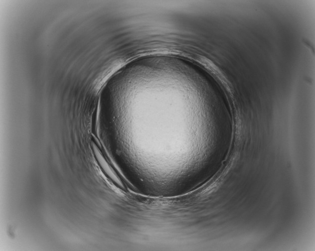 X0000100351385200806201530