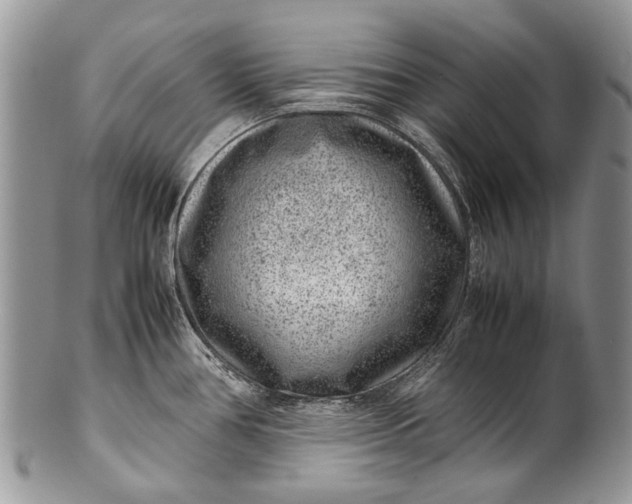 X0000100351386200806201530