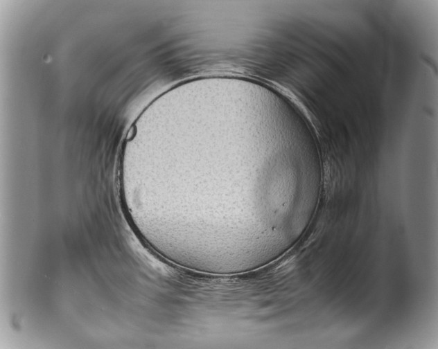 X0000100351387200806201530