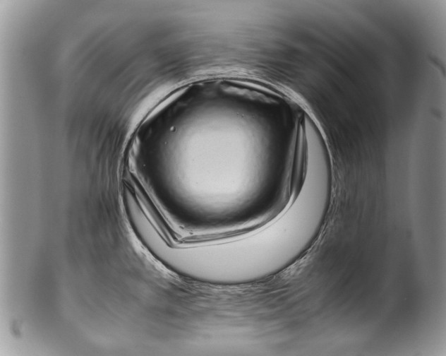 X0000100351389200806201530