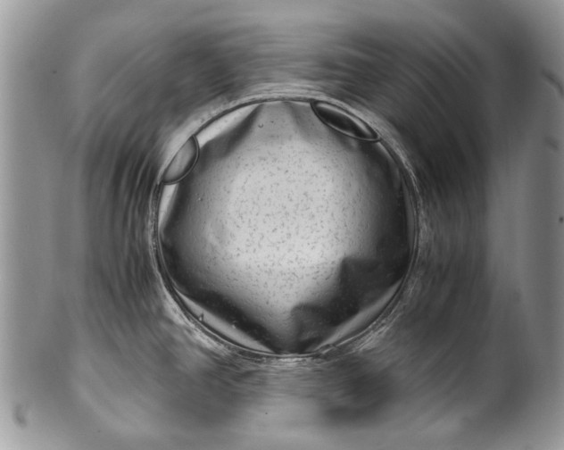 X0000100351390200806201530