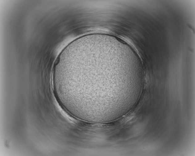 X0000100351391200806201530
